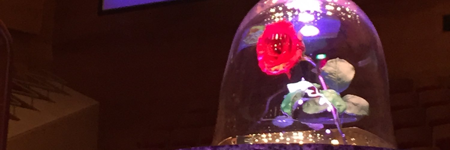 みさみさ banner