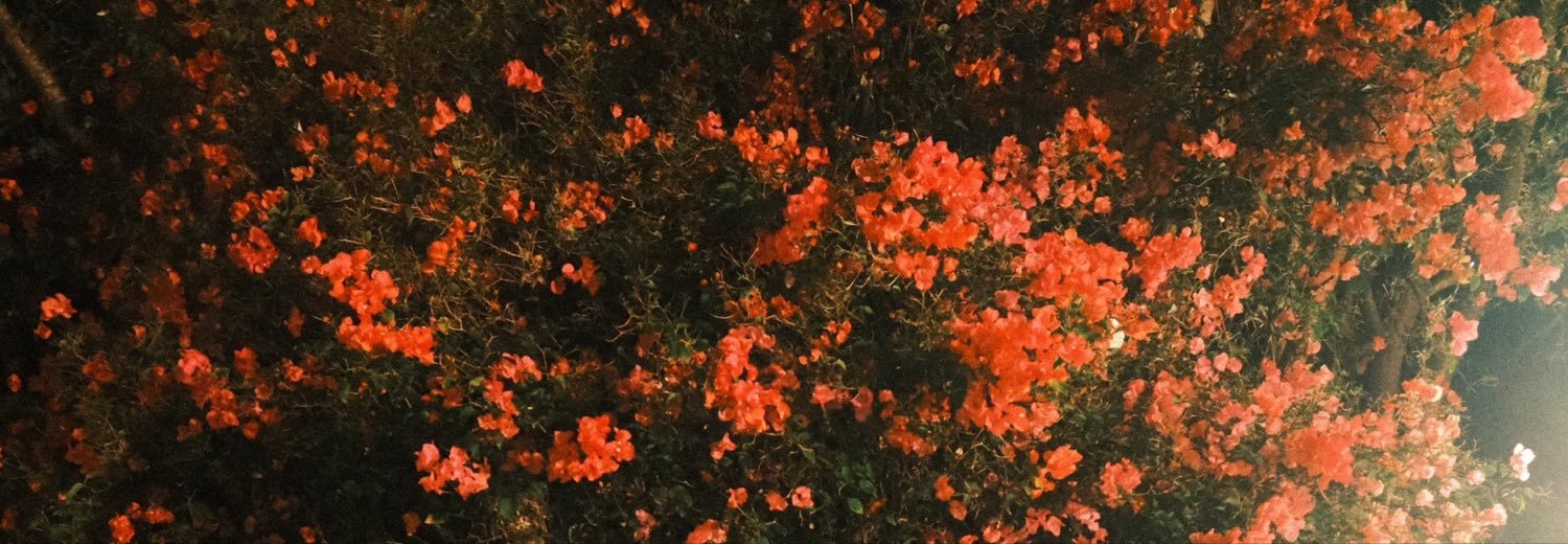 putikembun's profile banner image