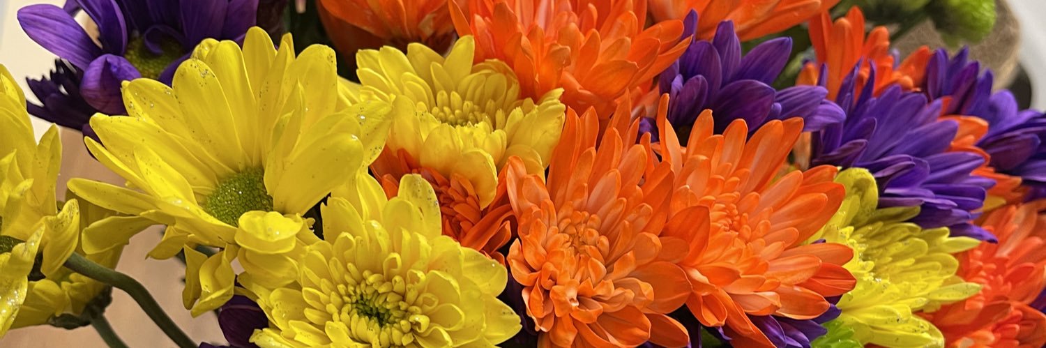 _LoriannMarie's profile banner image