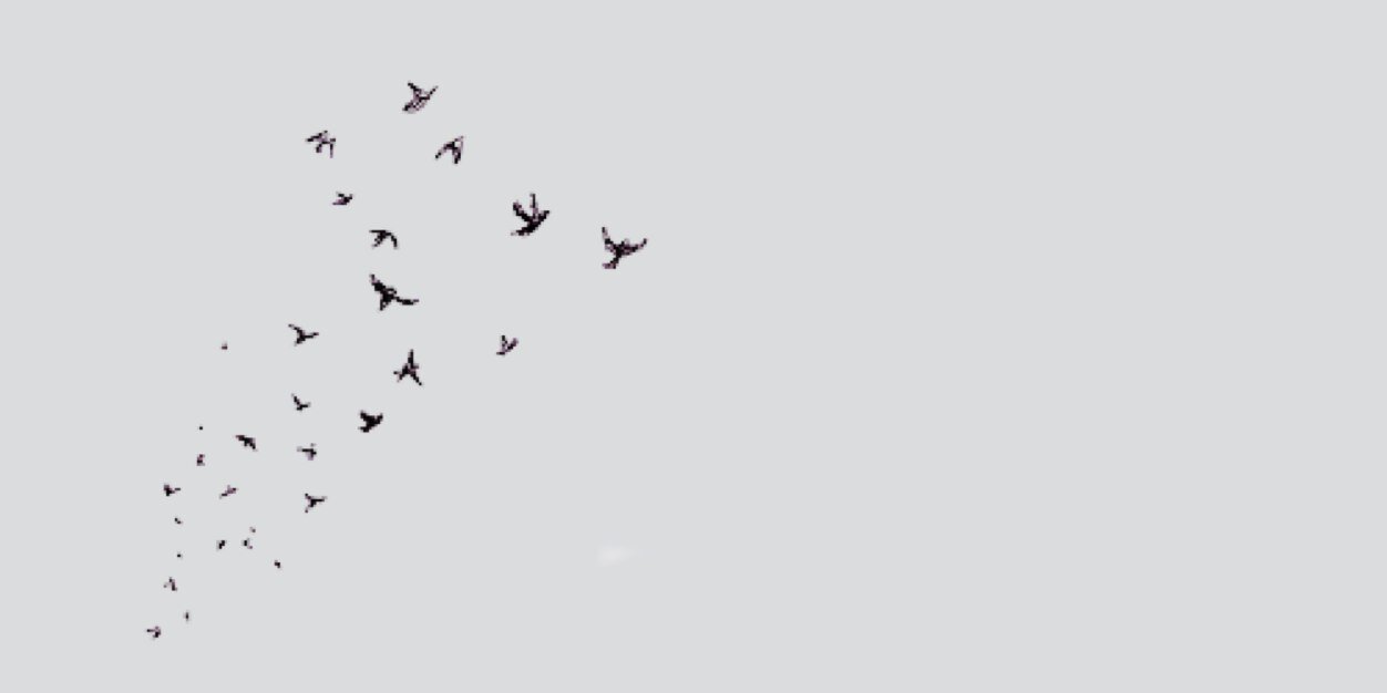 itseliodoe's profile banner image