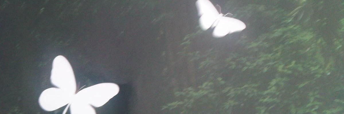 wildflwrlixie's profile banner image