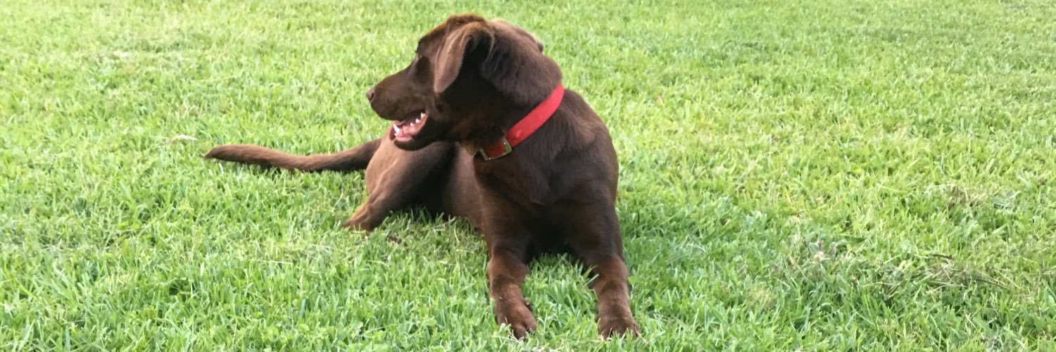danielledb_'s profile banner image