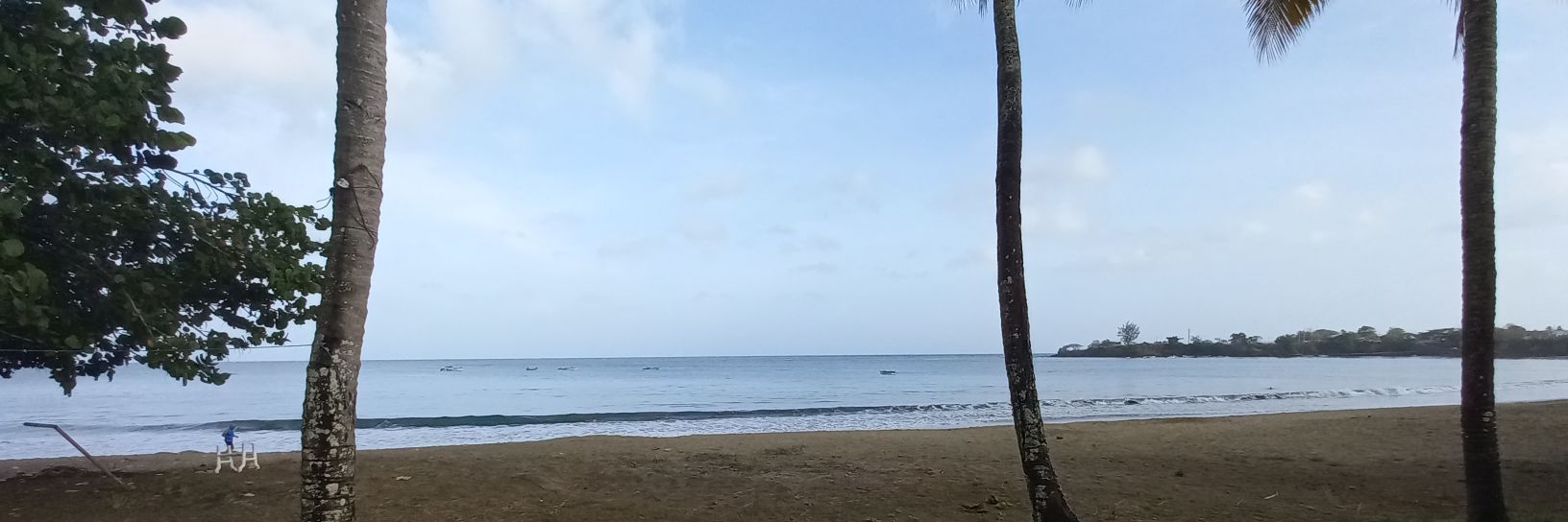 BriStarr2's profile banner image