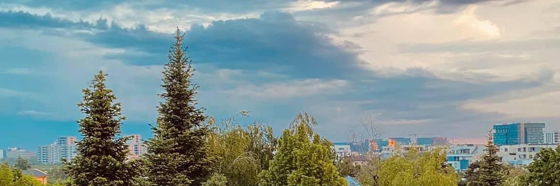 tudorionescu's profile banner image