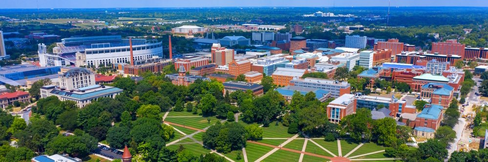 Dr Anne Fitzpatrick banner