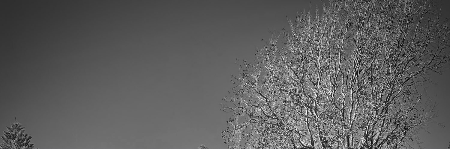I Know Nothing...! banner