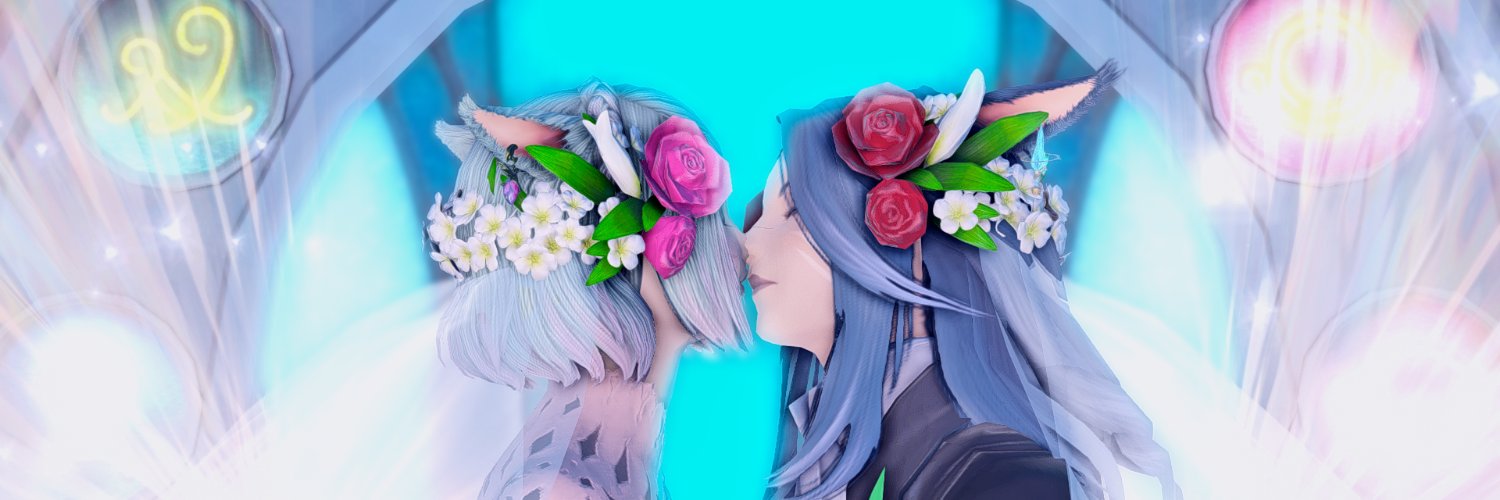 TartarugaKarate's profile banner image