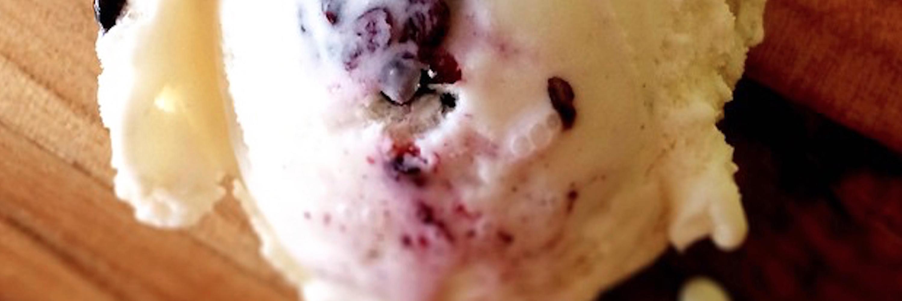 SweetCreamCo's profile banner image