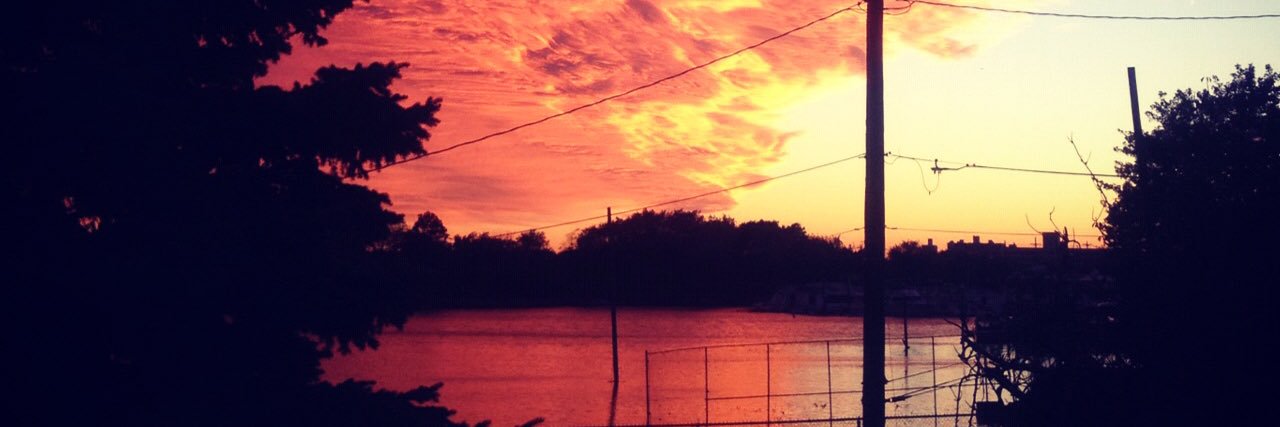 Danielle Henderson banner