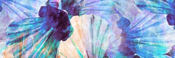 ozgeadogan's profile banner image