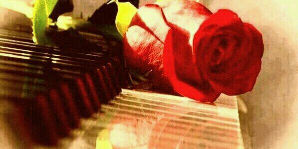 وبك رجائي مايخيب banner