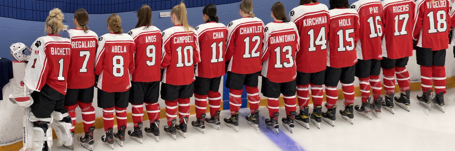 Ontario Women's Hockey Association Profile Banner