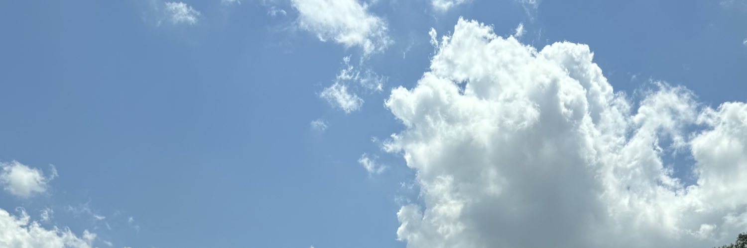 wheressmona's profile banner image