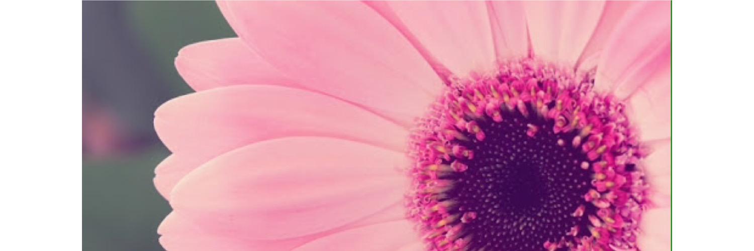 corazon_ada's profile banner image