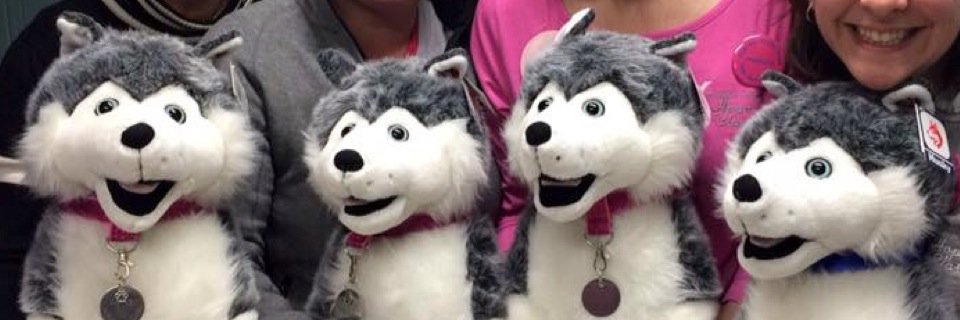ECLoube's profile banner image