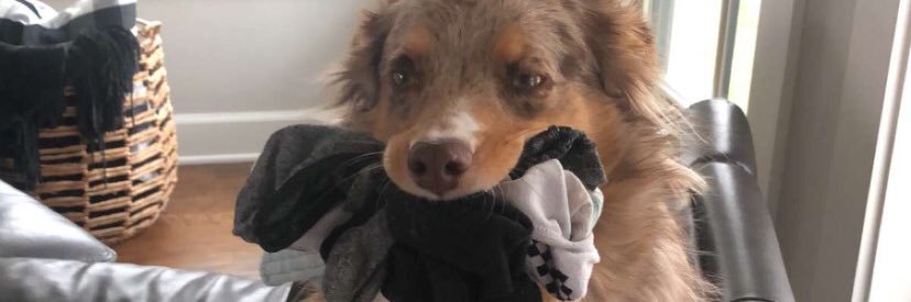 jadeyyyyy's profile banner image