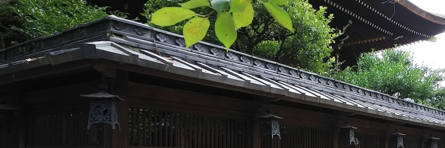 tydm's profile banner image