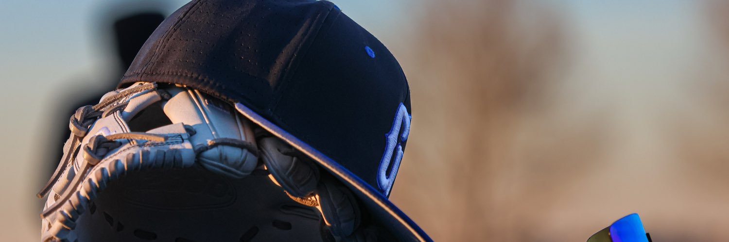 Grandview Baseball banner