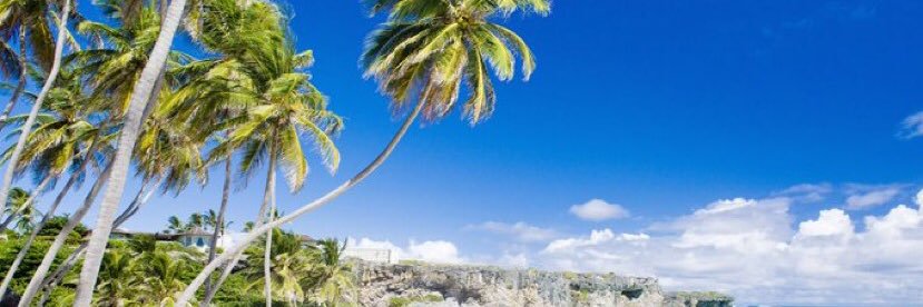 Lis Goddard ♿️👩‍🦯 banner