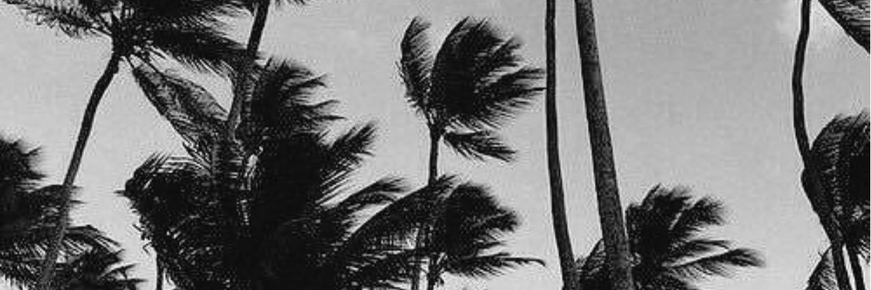 therealjaye's profile banner image