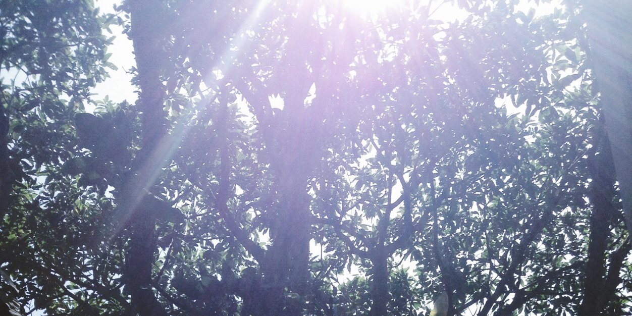 bobichandra's profile banner image