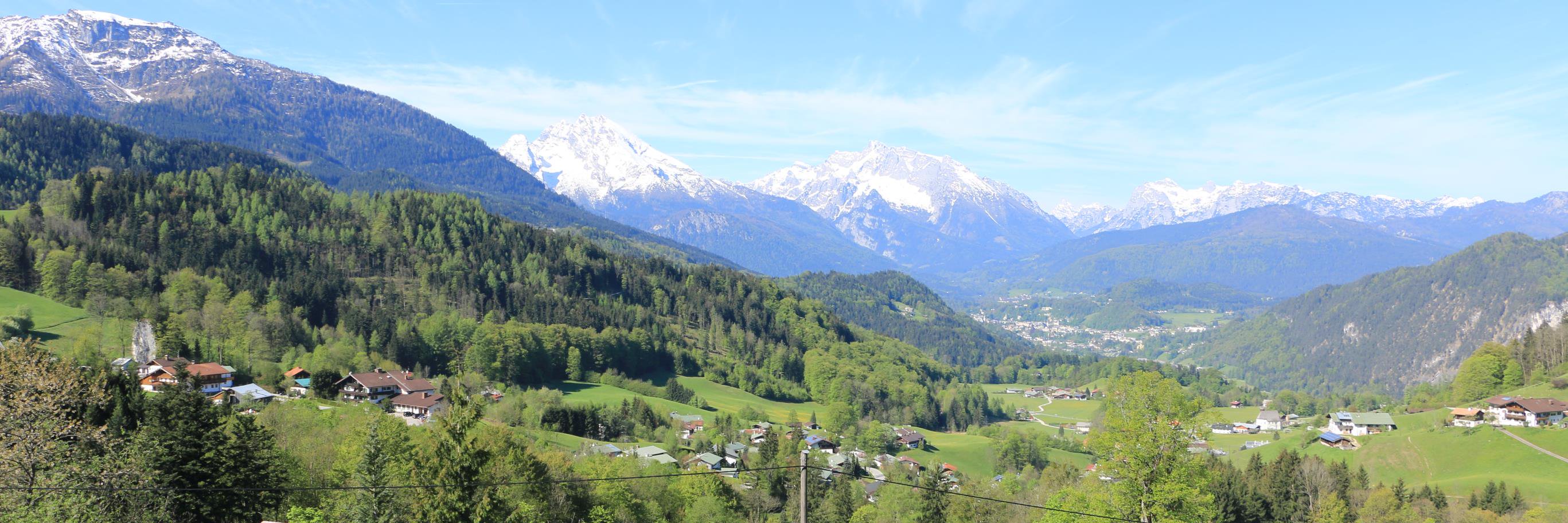 MSK & Sports Physio banner