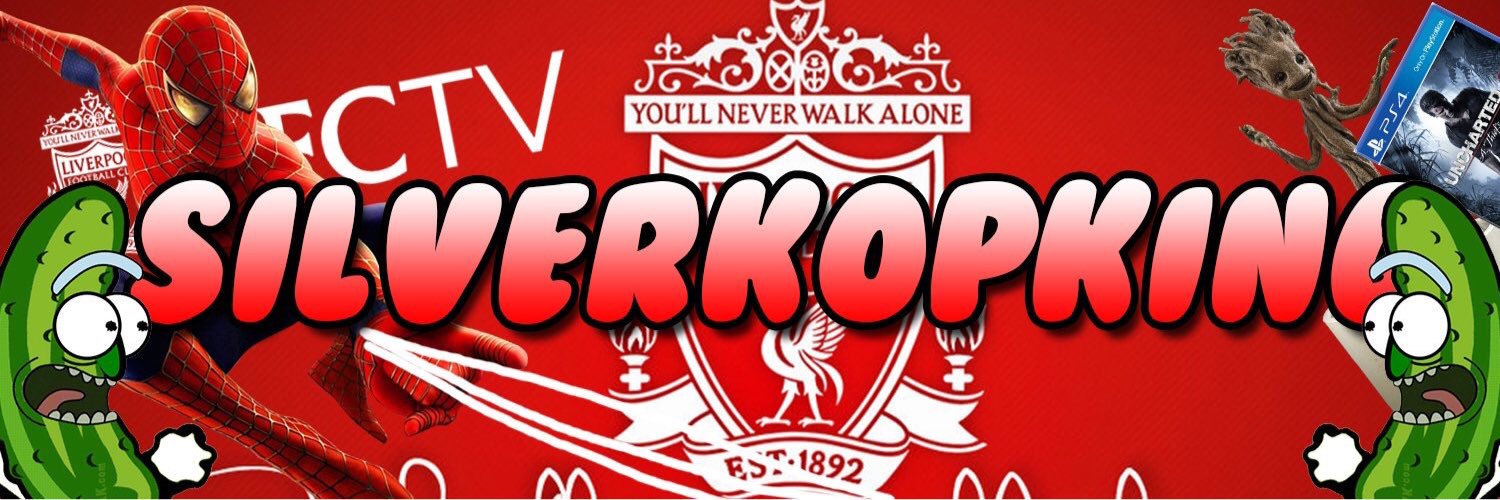 silverkopking's profile banner image