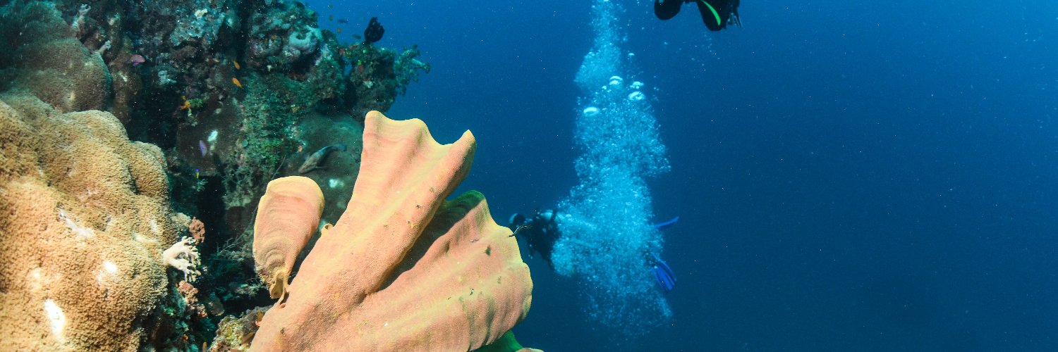 MStClairNT's profile banner image