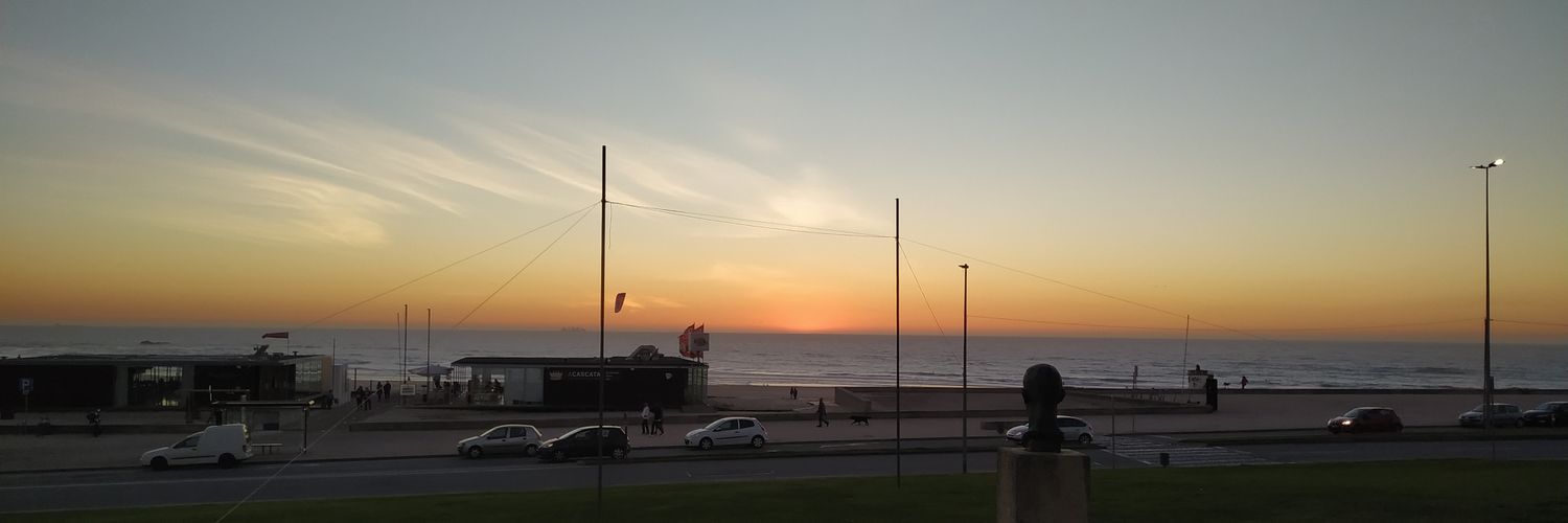 Ricardo Lopes banner