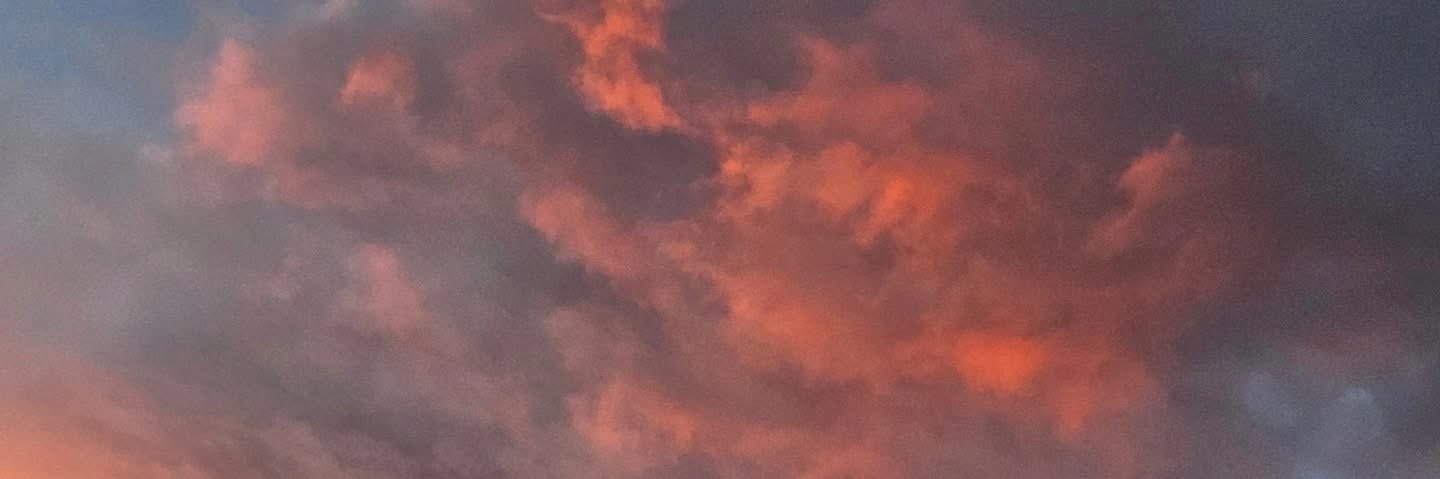 little:fiery:one 🍉🇵🇸 banner