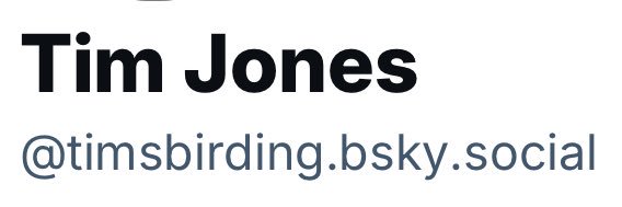 TJ MOVED TO BLUESKY banner