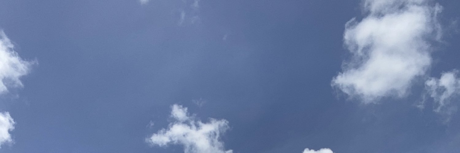 StephanieLPF's profile banner image