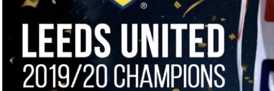 lufcselby's profile banner image