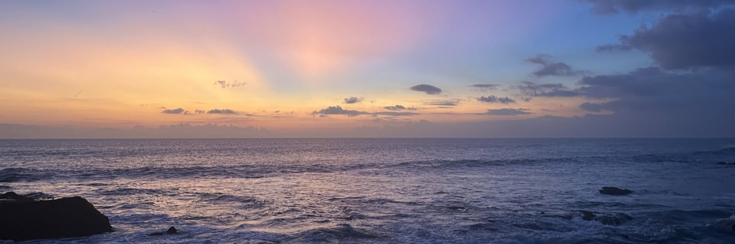 TheSherrieShow's profile banner image