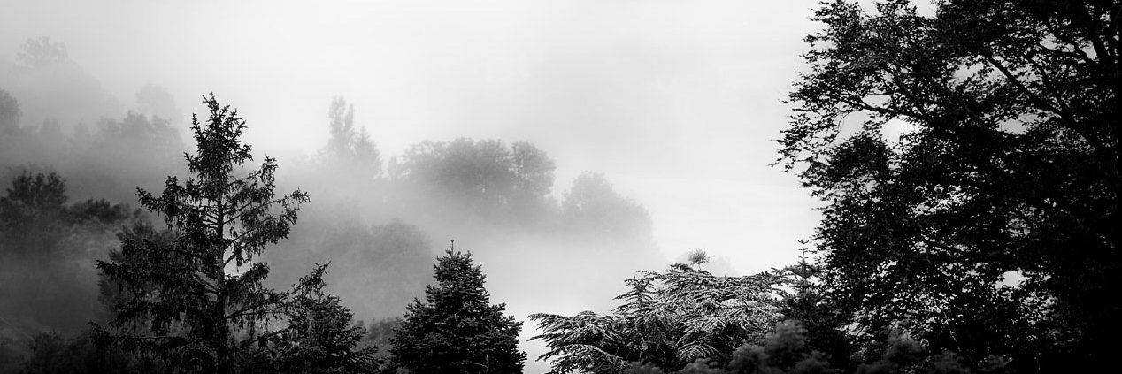 siao1's profile banner image