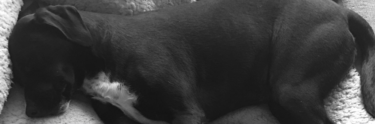 daniellegauu's profile banner image