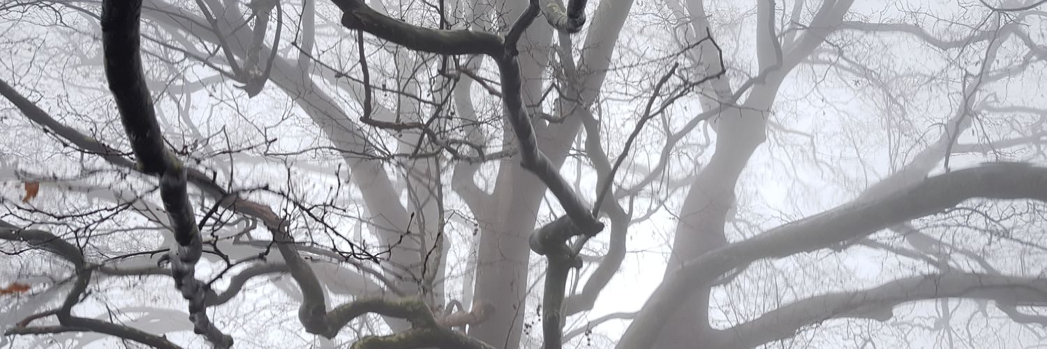 Imranistic's profile banner image