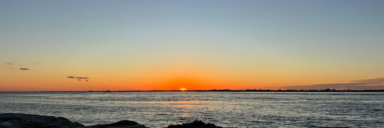 DIANA FERNANDA ديانا فرناندا banner