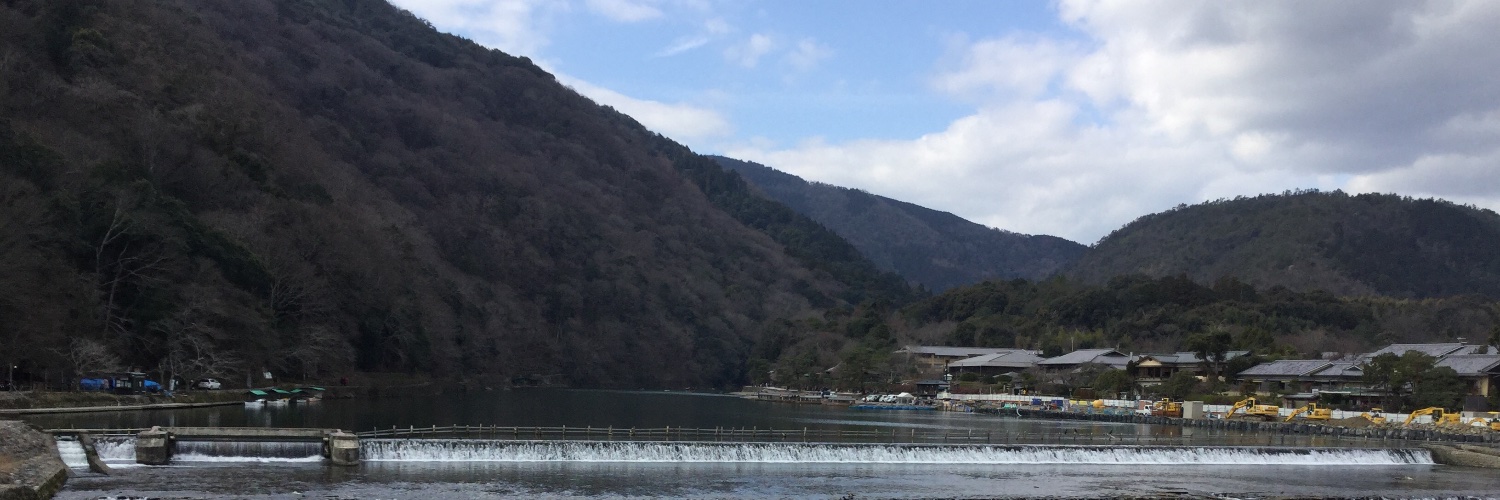 ShinaOrRavin's profile banner image
