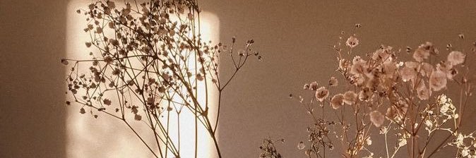 Leni_Mizzle's profile banner image