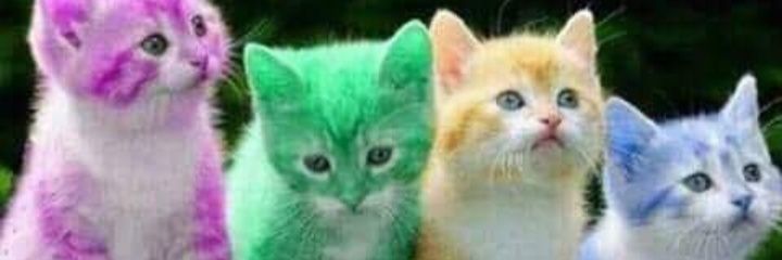 ney_mar15's profile banner image