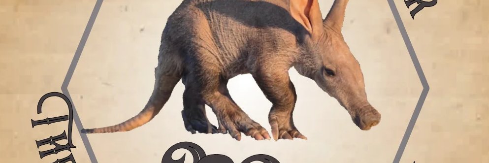 Penny Hajduk💙 #SamuraiPenny.bsky.social banner