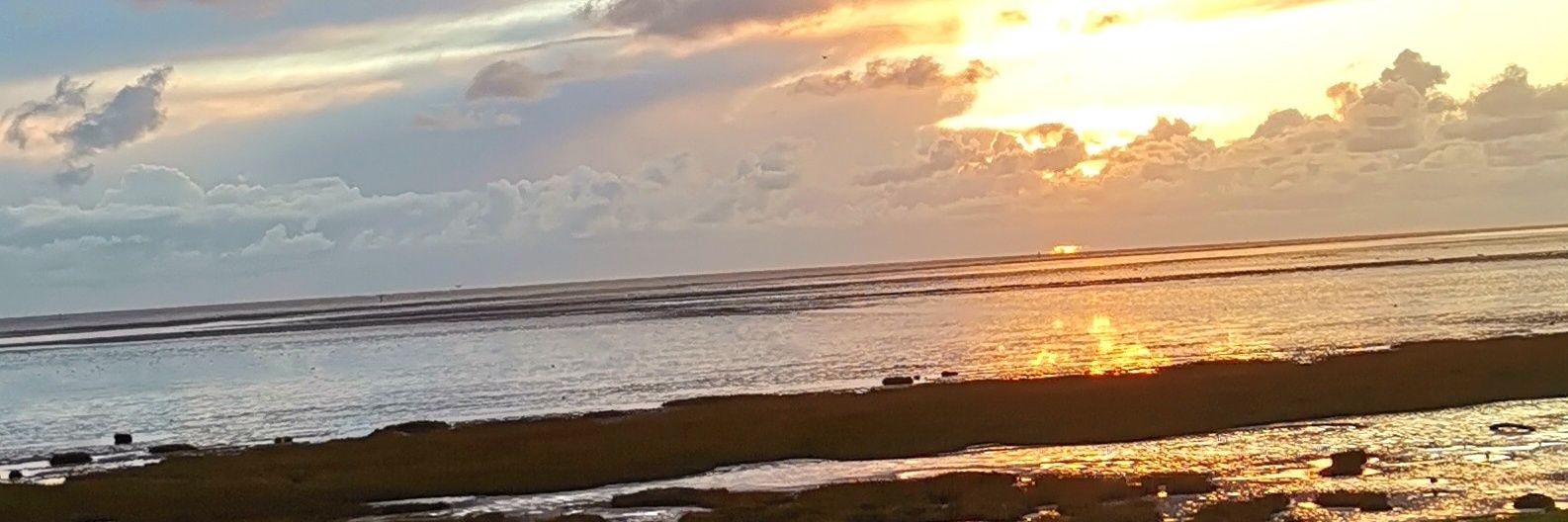 Andreajones1964's profile banner image