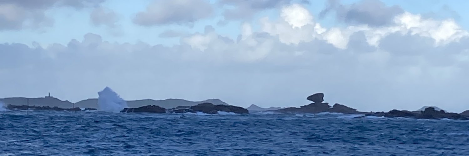 Solène Cressant banner