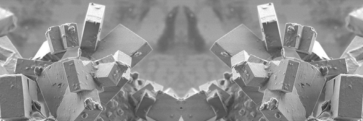 Roshini_'s profile banner image