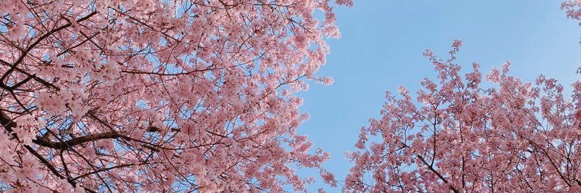 ttizza_'s profile banner image