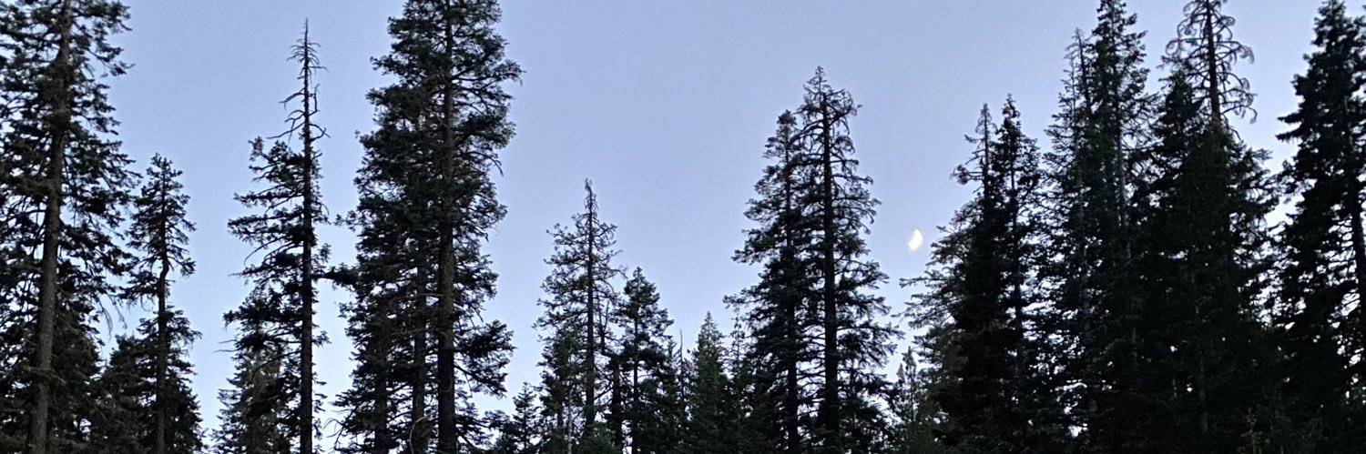 ErikFunfar's profile banner image