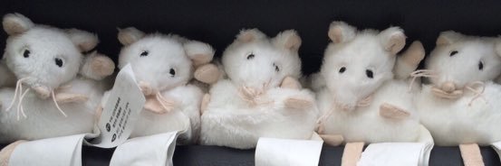 たみお(水になれば、) banner