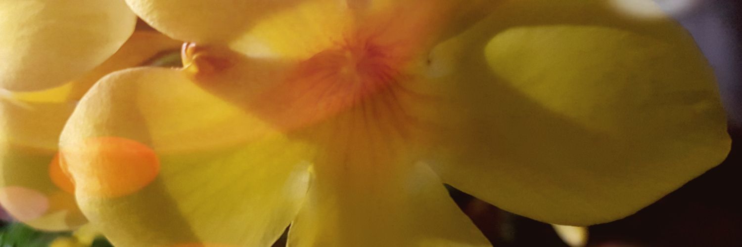 kehindeson's profile banner image