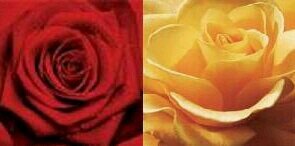ALBERTOENNA's profile banner image